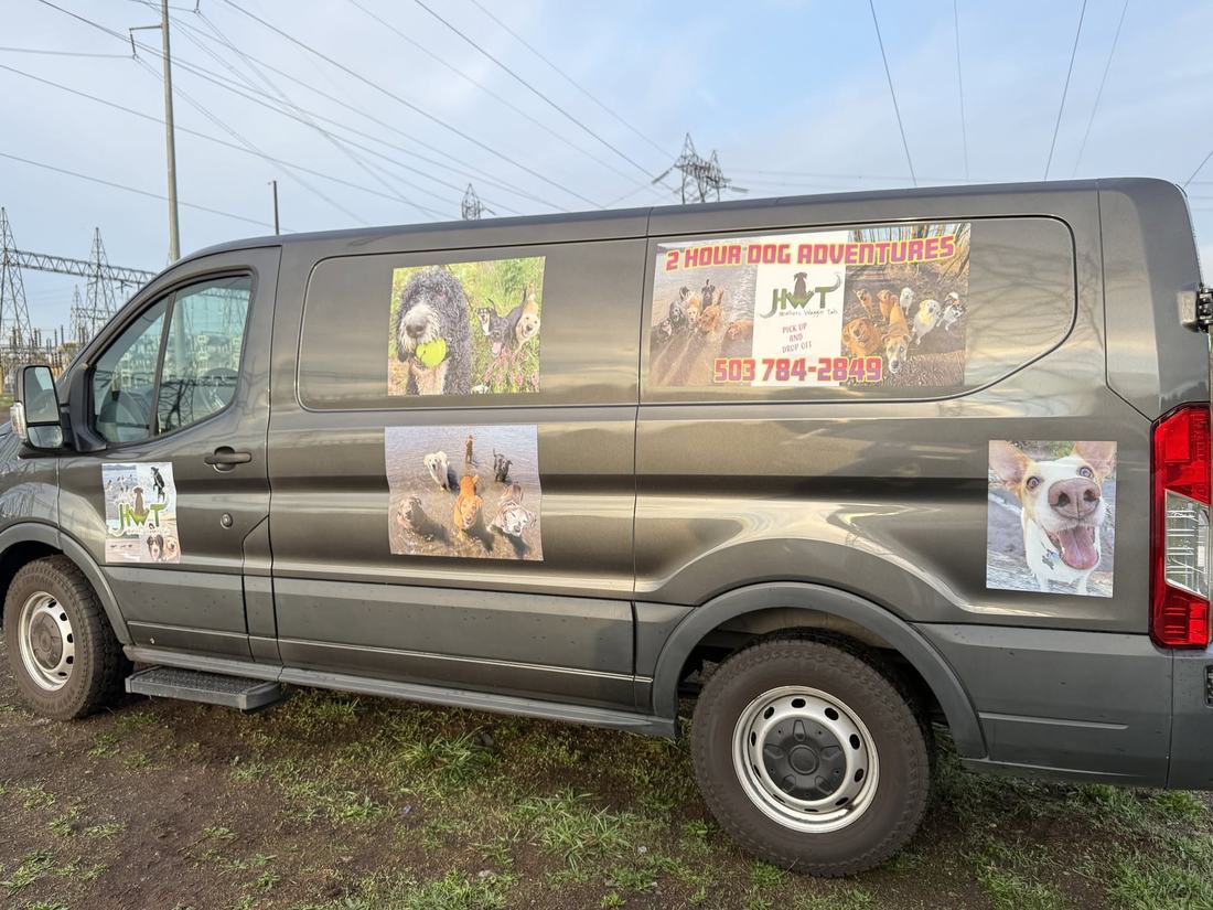 Full photo van wrap
